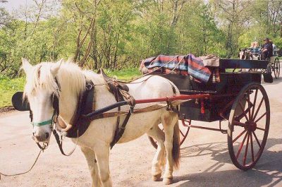 Killarney National Park
