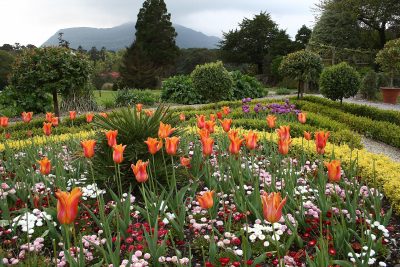 Killarney