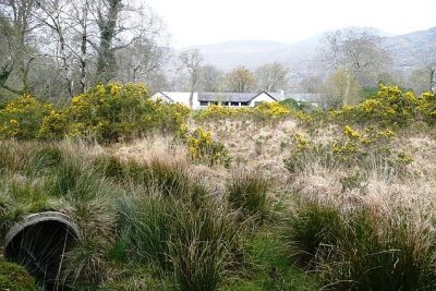Lord Brandon's Cottage