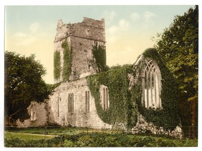 Muckross Abbey