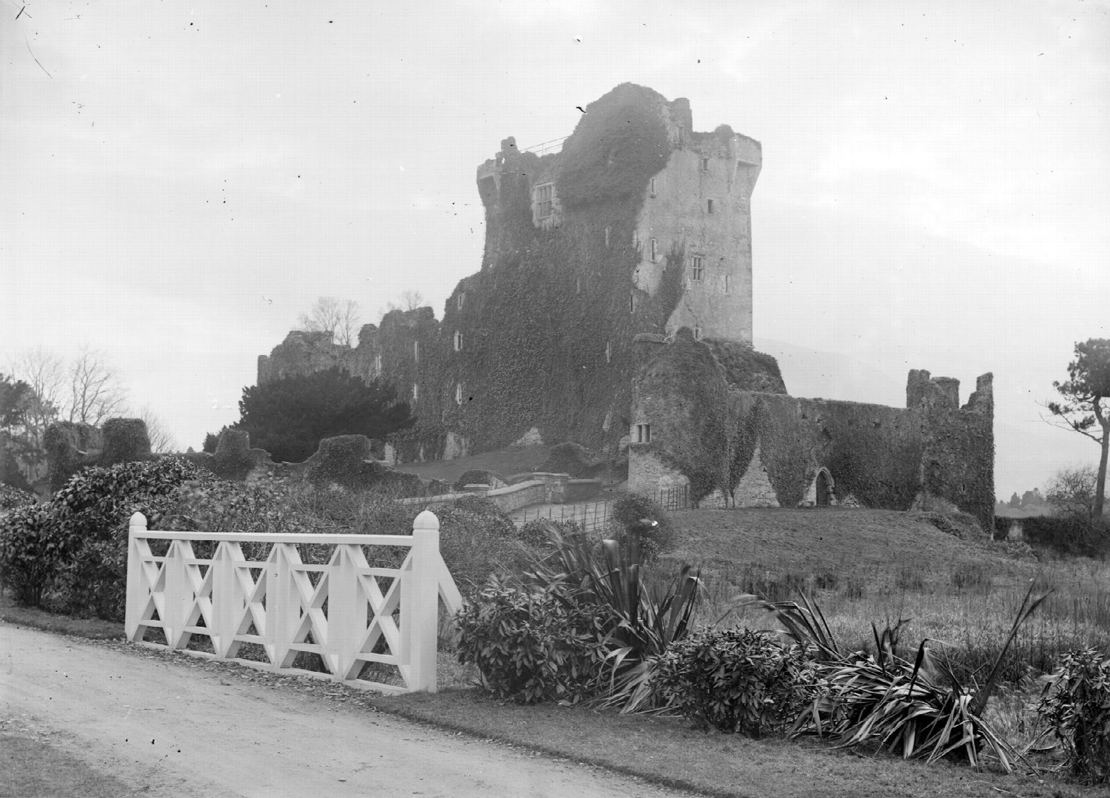Ross Castle