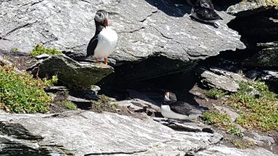Skellig Michael
