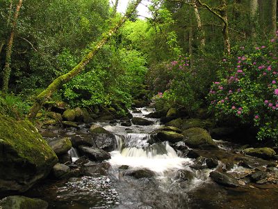 Torc Waterfall